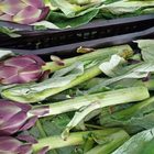 Fresh Artichoke
