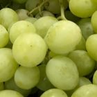 Fresh Grapes