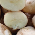 Fresh Potatoes