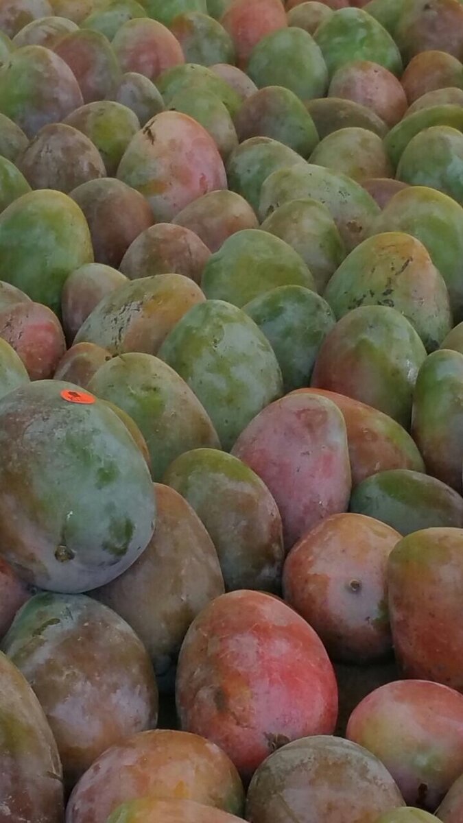 Fresh Mango