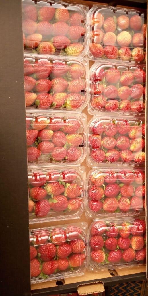 Fresh Strawberries