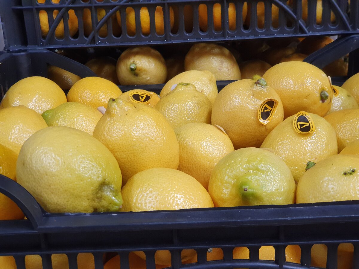 Fresh Adalia Lemon