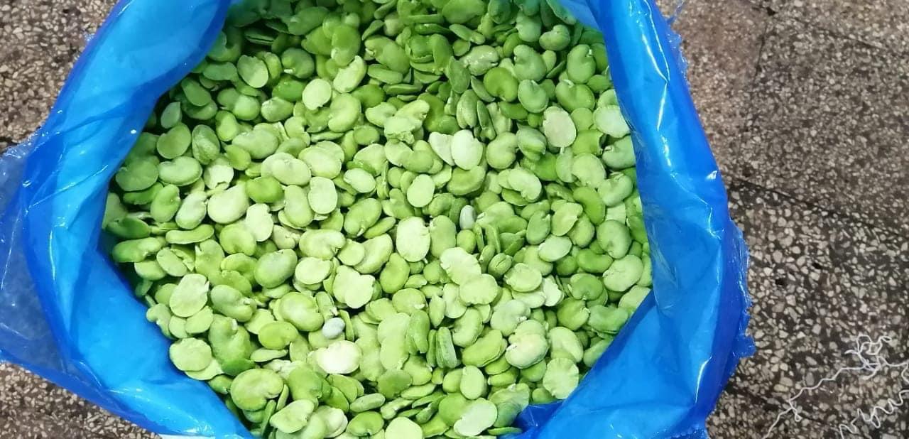 IQF Broad Beans