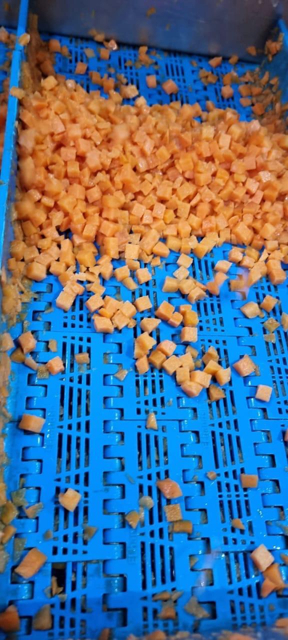 IQF Carrots