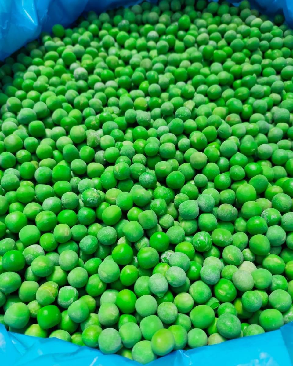 IQF Green Peas