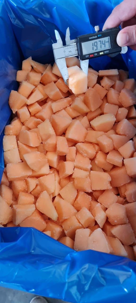 IQF Melon