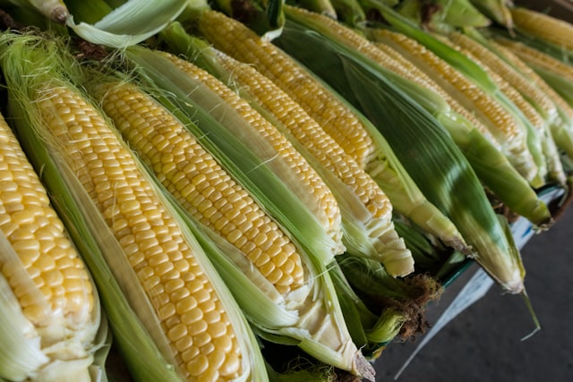 IQF Sweet Corn